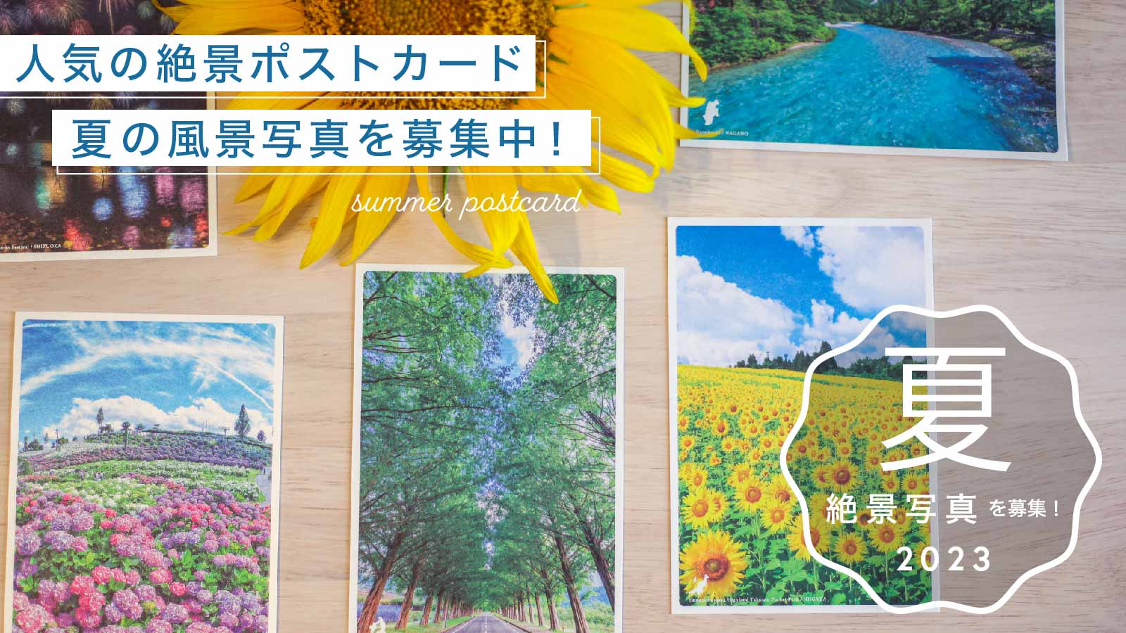 ニュース投稿サムネイル