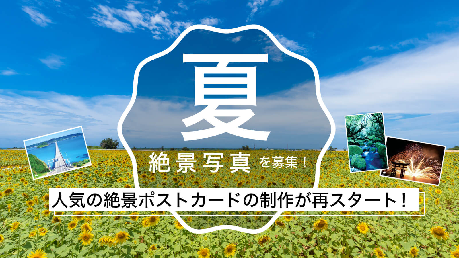 ニュース投稿サムネイル