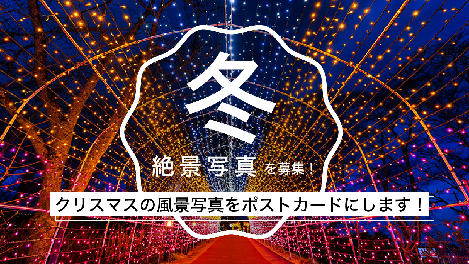 ニュース投稿サムネイル